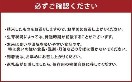 子育て応援米 【令和7年産】 奈義町産米 BG無洗米 （ きぬむすめ ） 10kg （5kg×2袋）【2025年10月上旬より順次発送開始】 お米 米 無洗米 岡山県