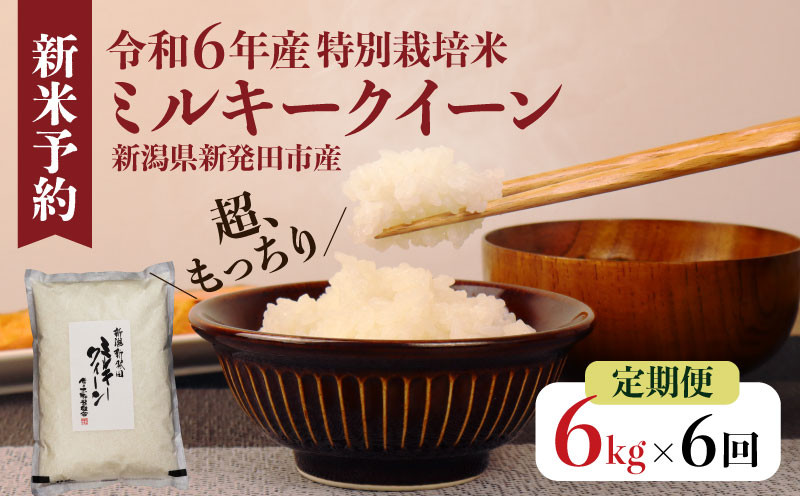 
            【定期便】令和6年産 新潟県産 ミルキークイーン 2kg×3袋×6か月 新潟県 新潟産 新発田市 米 お米 白米 ごはん 玄米 精米 国産 ミルキークイーン ふっくら もっちり 定期便 6ヶ月 36kg 6kg つやつや もちもち ご飯 お弁当 おにぎり コシヒカリ 低温貯蔵 佐々木耕起組合
          