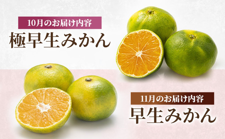 みかん 河津町 旬のみかん セット 果物 フルーツ みかん