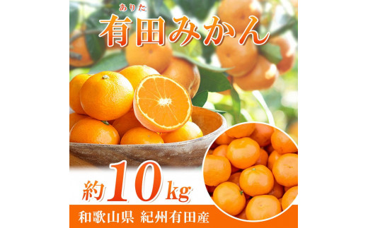 完熟有田みかん　10kg【2025年11月下旬以降発送】【先行予約】【UT11】
