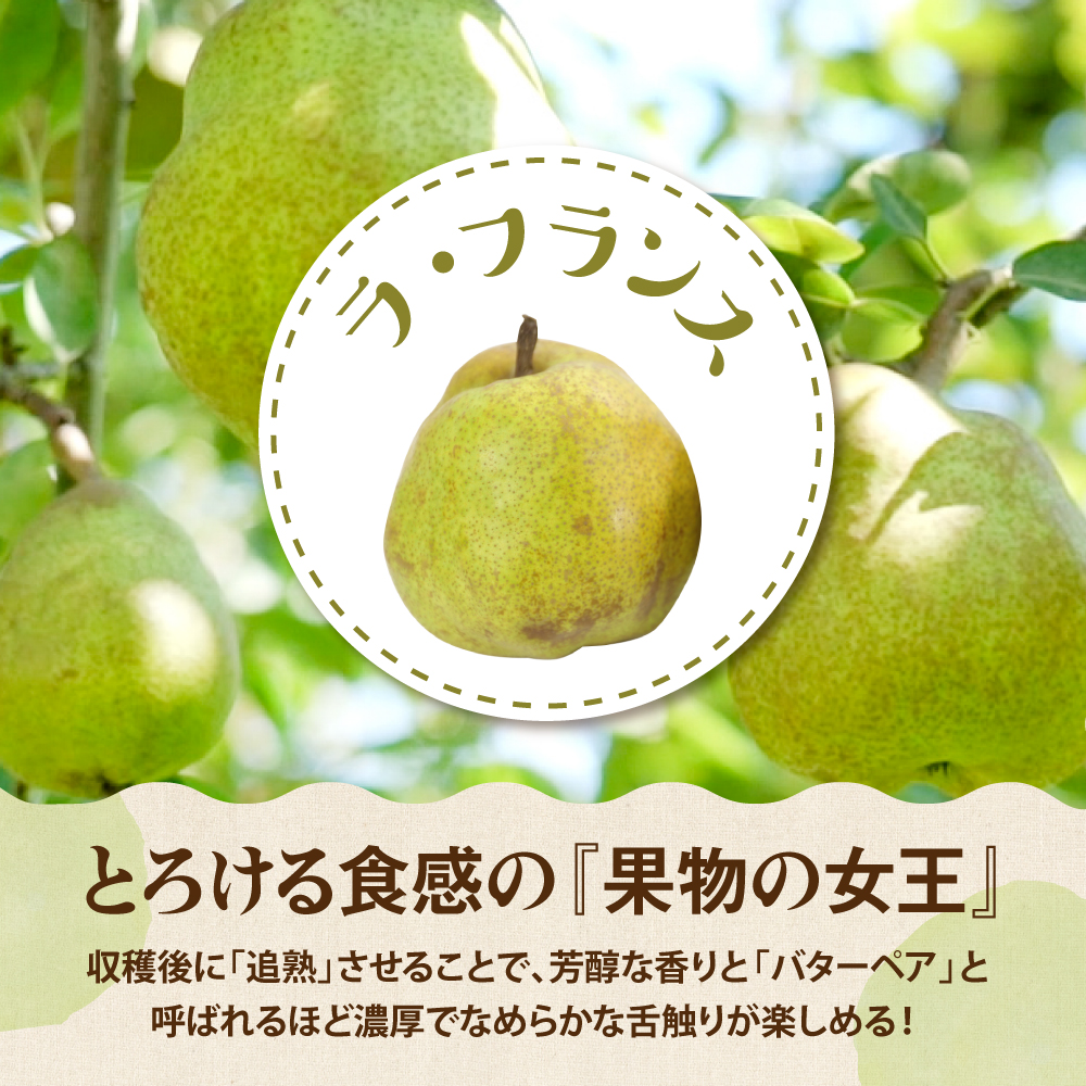 【2026年産】サンふじ&ラフランス 詰め合わせ 5kg 秀品 化粧箱入り 山形県 東根市 東根農産センター提供 hi027-211-r8