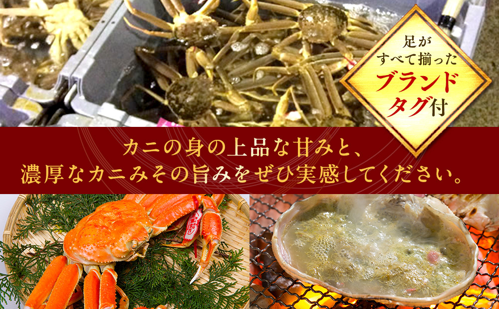690.【早期受付】【活】タグ付き松葉ガニ　大1枚（800g前後）《かに カニ 蟹 ズワイガニ》※着日指定不可※2025年11月上旬頃から順次発送予定