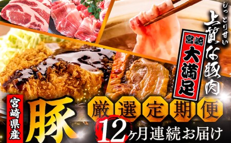 厳選!宮崎県産豚 定期便Aコース  《2024年3月から毎月お届け!》 全12回