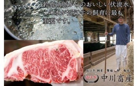 令和4年度 全国肉用牛枝肉共励会 最優秀賞受賞 中川牧場 近江牛 ロース 髙島屋選定品 （株）髙島屋洛西店 滋賀県 東近江市 C-E09 近江牛 ロース すき焼き 最優秀賞 受賞 和牛 A4 A5