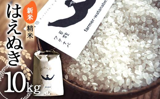 
                  【令和8年産 新米 先行予約】 はえぬき (精米) 10kg 《令和8年10月上旬～発送》 『最上園』 米 白米 ご飯 農家直送 山形県 南陽市 [1978-R8]
                