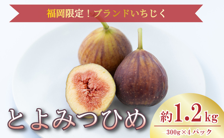 【先行予約】【2026年8月上旬から10月中旬発送】福岡限定 ブランドいちじく「とよみつひめ」約300g×4パック NGK007
