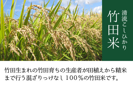 【先行予約・令和8年産新米】【定期便12回コース】清流こしひかり 竹田米 10kg × 12回 計120kg （白米） 【2026年9月下旬以降順次発送予定】 [P-7401_01]