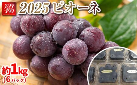 【先行予約】2025　P　ピオーネ　粒採り6パック　約1キロ　【10月初旬頃～順次発送予定】　長野県産　国際特許有機肥料栽培 | ピオーネ ピオーネ ピオーネ ピオーネ ピオーネ ピオーネ