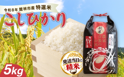 お米 令和8年産 館林市産こしひかり精米 5kg ｜ お米 白米 群馬県産米 ごはん ご飯 炊飯 米飯 毎日の食卓 主食 おにぎり 和食 ご家庭用 精米したお米 まとめ買い お米のストック 米の買い置き お弁当用 ごはん用 おうちごはん 夕食 群馬県 館林市
