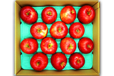 【2026年発送】山形のりんご（秋陽）約5kg_H077(R8)