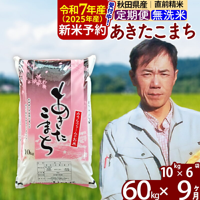 【ふるさと納税】※令和7年産 新米予約※《定期便9ヶ月》秋田県産 あきたこまち 60kg【無洗米】(10kg袋) 2025年産 お届け周期調整可能 隔月に調整OK お米 みそらファーム