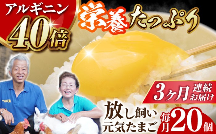 
                  【全3回定期便】 アルギニン 元気たまご 20個 自然栽培 【浅田峠自然塾】 [EA02] 卵 定期便 たまご 鶏卵 玉子 卵かけご飯 たまごかけご飯 目玉焼き 平飼い 卵 定期便
                