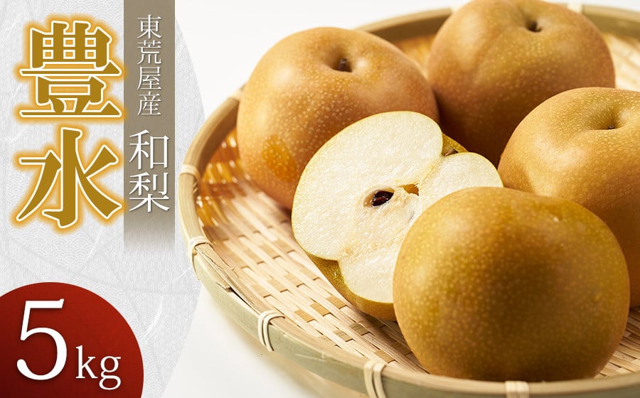
            【令和7年産先行予約】 東荒屋産　豊水　(和梨)　5kg　山形県鶴岡市 鶴岡中央青果
          