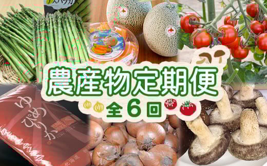 『定期便：全6回』 農産物の定期便 ｜ オンライン 申請 ふるさと納税 北海道 新十津川 北海道産 農産物 定期便 新鮮 美味しい 野菜 やさい 大容量 新十津川町【1200701】