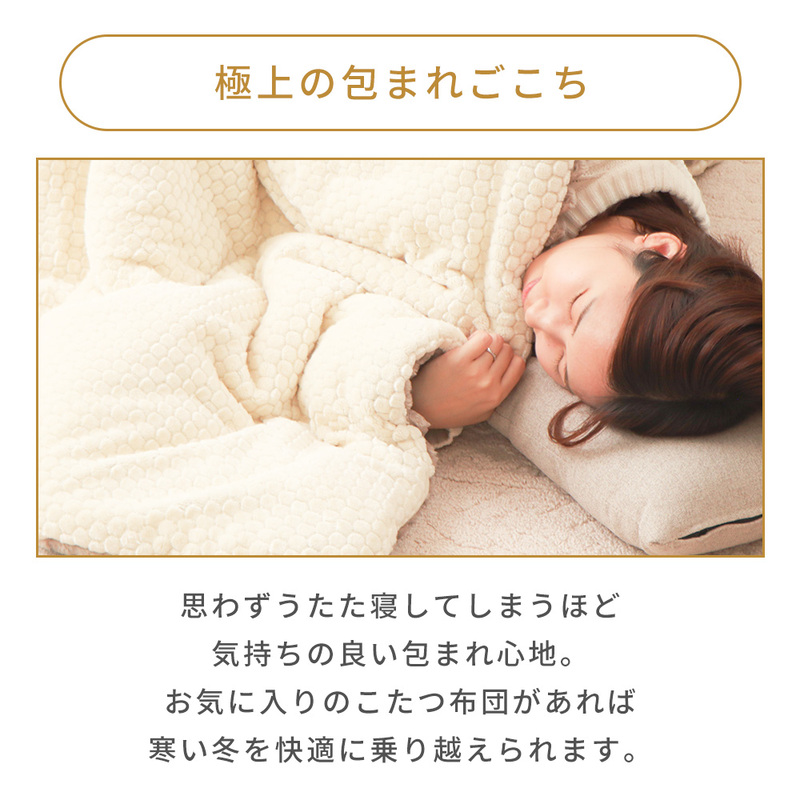 リバーシブルこたつ布団 Lampoa(ランポア) 195×245