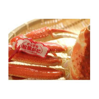 ふるさと納税 北栄町 【ボイル】 《タグ付き》厳選松葉がに 400g超の×3杯　2025年11月発送 |  | 03