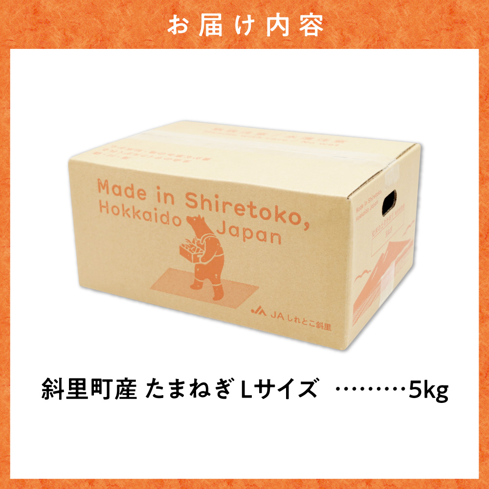 【先行予約】産地直送 知床の恵み凝縮!斜里の玉葱Lサイズ5kg　産地直送