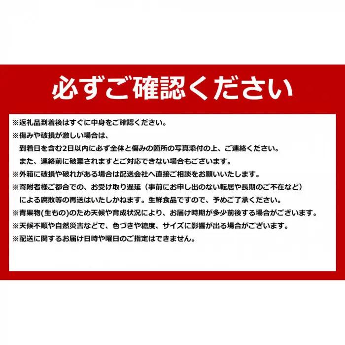 【先行予約】香り豊かな 北海道レッドメロン 8kg（3玉～6玉）(2026年7月下旬から発送開始) | メロン _05413