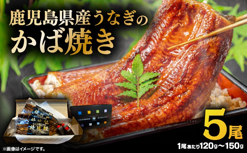 
                  鹿児島県産うなぎのかば焼き 5尾　KN174-001-05
                