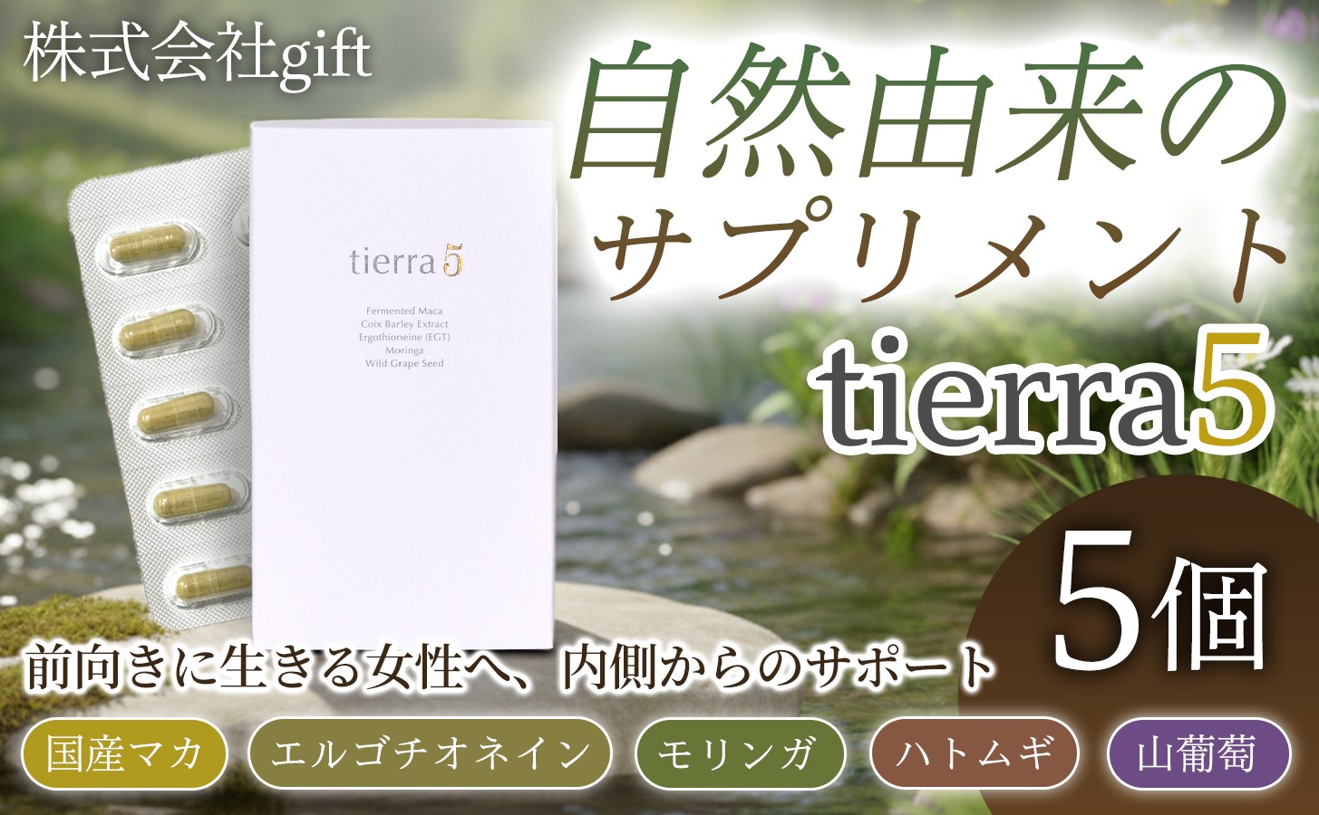 
                  tierra5 (1個) 5セット 【素材の力を、丁寧に届ける】 マカサプリ  国産マカ 酵素分解マカ 植物由来成分 カプセルサプリ 日本製サプリ 女性向け モリンガ ハトムギ 山葡萄種子 エルゴチオネイン 栄養補助食品
                