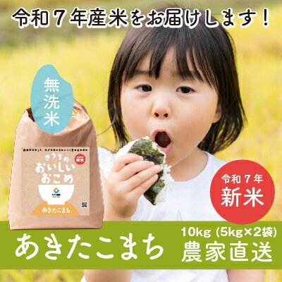 【ふるさと納税】【令和7年産・自家栽培・自家精米・農家直送】稲敷市産あきたこまち10kg(5kg×2袋)無洗米【配送不可地域：離島・沖縄県】【1430545】