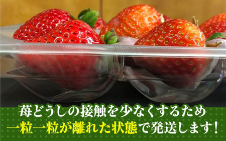 【2024年1月下旬より順次発送】農家直送 朝採り新鮮いちご【博多あまおう】約270g×2＜株式会社H&Futures＞ 那珂川市 いちご フルーツ くだもの 果物 あまおう 九州産 苺 国産  80