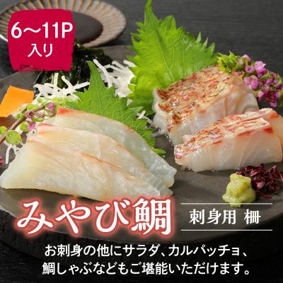 ふるさと納税 天草市 みやび鯛 刺身用 柵　900g_S124-003