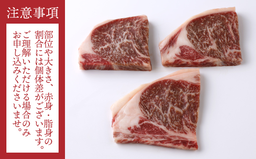 B312.博多和牛サーロインステーキセット（４５０ｇ）