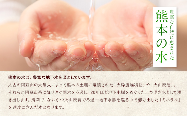 米 無洗米 令和6年産 新米 特A受賞品種 ひのひかり 森のくまさん 米 送料無料 20kg 食べ比べ ヒノヒカリ 厳選 熊本県産(長洲町産含む) 米 お米 森くま 《11月-12月より出荷予定》長洲