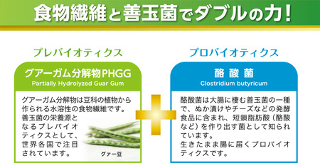 TVで話題！ グアーガム分解物 生きて腸内まで届く 酪酸菌 水溶性食物繊維　サンファイバープラス【スティック】6ｇ×30包【発酵性食物繊維 食物繊維 シンバイオティクス 医療 介護 安心 無味無臭 グ