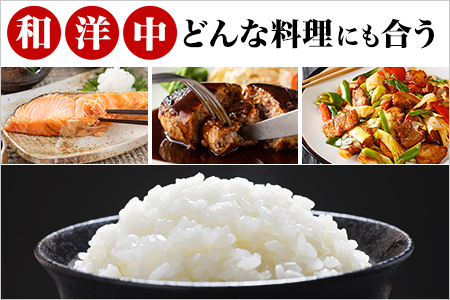 【無洗米】ヒノヒカリ５kg《マイスターセレクト》 B561