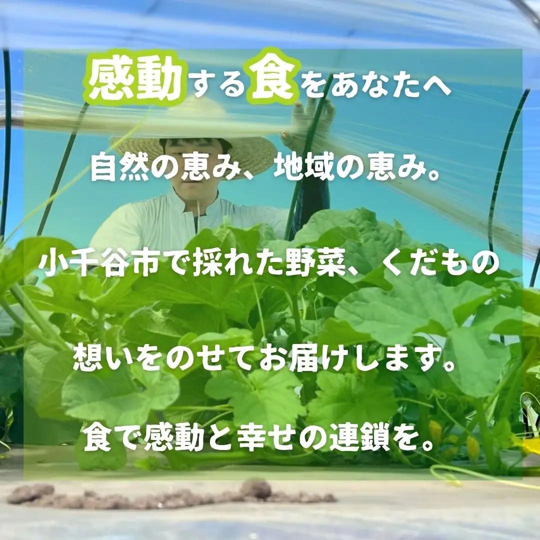 K-farmのこだわりメロン 5種類の中から おまかせ 厳選 2玉