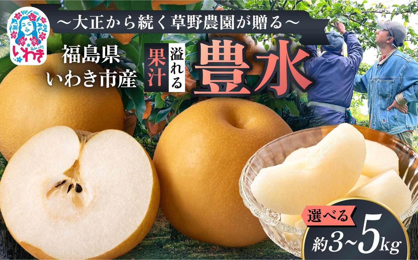 
                  【先行予約】【選べる容量】福島県いわき市産 梨(豊水) 約3kg/約5kg | ほうすい 選べる 梨 なし nashi nasi 先行予約 数量限定 フルーツ 果物 産地直送 限定品 贈り物 新鮮 お取り寄せ デザート ギフト 風味豊か 香り 上品 地域 甘い 限定 果樹 梨園 草野農園 福島県 いわき市 ふるさと納税 おすすめ | KN002-oya
                