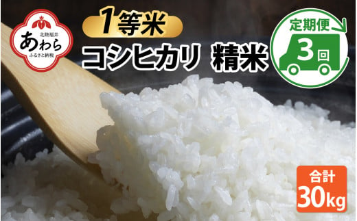 【先行予約】【令和6年産】【一等米】コシヒカリ 精米 10kg 3回定期便（合計30kg） ／ 一等米 福井県産 ブランド米 ご飯 白米 お米 コメ 新鮮 新米 ※2024年10月中旬より順次発送