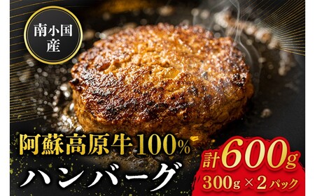 南小国産 阿蘇高原牛 牛100% ハンバーグ 600g 贅沢 牛 牛肉 国産牛 ハンバーグ ハンバーグステーキ 150g 4個 小分け 熊本県産 国産 贈答用 ギフト ハマダ 熊本 阿蘇 南小国町 送