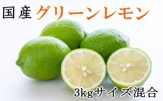 【産直】和歌山産グリーンレモン約3kg（サイズ混合）※2026年10月中旬～2026年11月上旬頃より順次発送【tec506A】