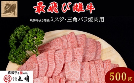 【最飛び雌牛】飛騨牛A5等級ミスジ・三角バラ焼肉用　500g【配送不可地域：離島】【1520156】