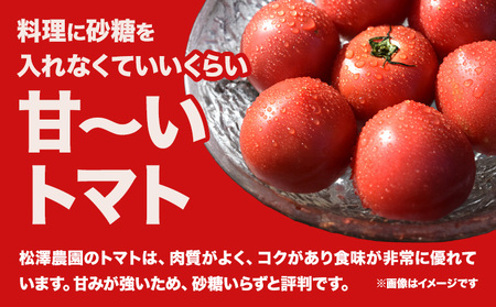 大玉トマト 2kg 9-12玉   松澤農園  岩手県九戸村