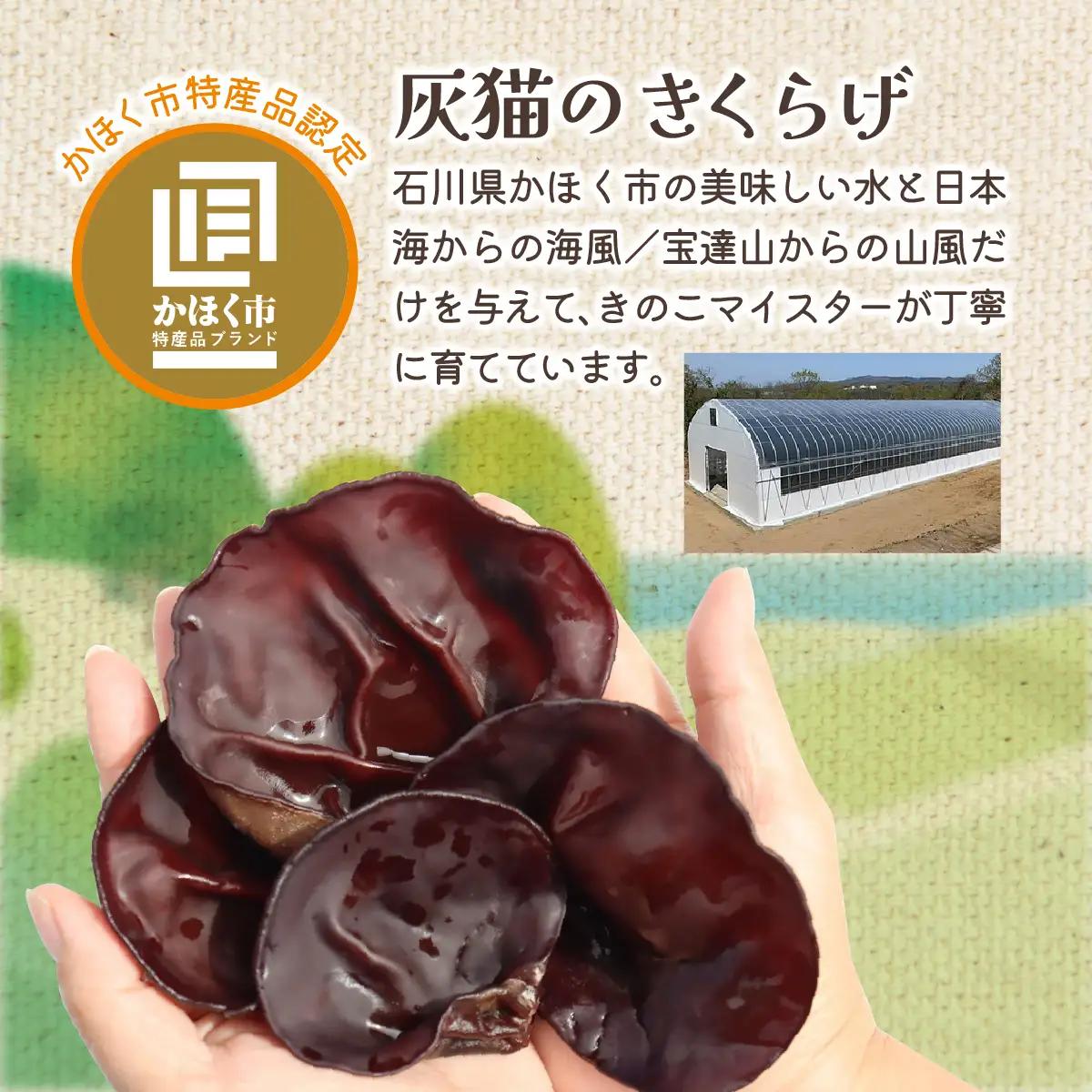 灰猫のきくらげカレー　１セット／１８０g５袋／レトルトカレー サンシャイン池崎 ねこ ネコ 保護猫