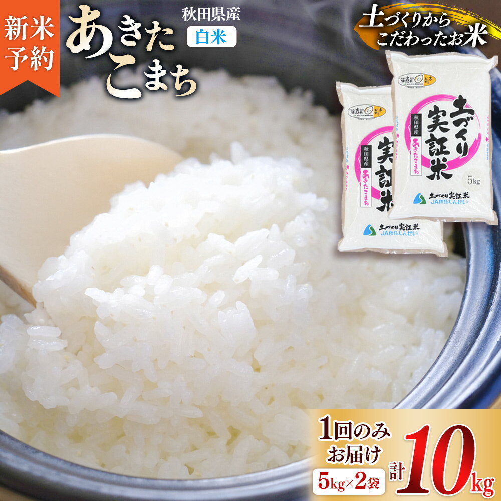 【ふるさと納税】《新米予約》米 10kg 精米 秋田県産 あきたこまち 令和7年産 土作り実証米 JA秋田しんせい