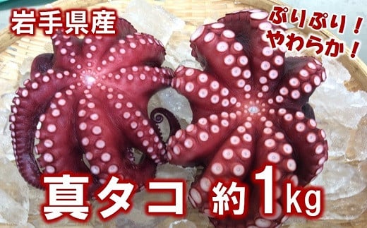 【年内発送】 北三陸産 蒸し真タコ丸ごと約1ｋｇ (２匹～５匹)  冷凍 「プリプリ」 「ふっくら」 「やわらか」 チョイス特集掲載『専門家が選んだ 夏の魚貝』 蛸 タコ 刺身 たこやき たこ 唐揚げ たこの唐揚げ たこめし タコ飯 たこボイル 年内配送 年内お届け