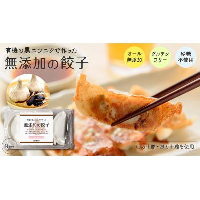 ふるさと納税 須崎市 黒ニンニクと四万十豚で作った餃子(8パック8人前)【添加物不使用】 |  | 01