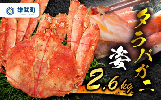 
                  《数量限定》北海道オホーツク産 タラバガニ姿　2.6kg| タラバガニ カニ 蟹 タラバ たらば蟹 海鮮 魚介 海の幸 おつまみ 晩酌 夜ご飯 贅沢 ご褒美 オホーツク産 北海道産　お取り寄せ 北海道 雄武町 雄武【07198】
                
