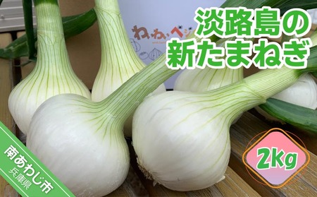 春の訪れ！淡路島の新たまねぎ（2㎏）◆配送２月～５月下旬