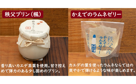 メイプラーセット No.351