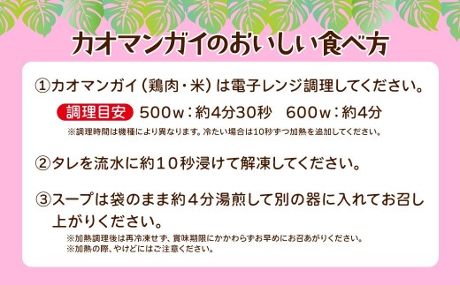 渋谷カオマンガイ 弁当パッケージ 3食入り