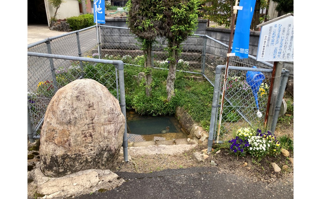 稲作発祥の地。未来へつなぐ「月の輪田・清水戸」の保全と魅力発信に関する活動支援 1口 10,000円【返礼品なし】 京都府 京丹後市 地域応援 地域支援 活動応援 活動支援 京都 丹後 返礼品なし