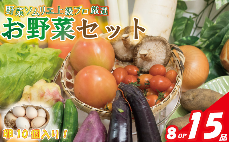 
【野菜ソムリエ上級プロ厳選】 野菜セット 8品or15品 ( みかんたまご 10個入り ) | 新鮮 野菜 やさい ヤサイ セット 詰め合わせ 卵 たまご 鶏卵 旬の野菜 産地直送 冷蔵 国産 ピーマン きゅうり さつまいも にんじん ナス たまねぎ トマト じゃがいも ゴーヤ おくら 季節の野菜 愛媛県 松山市 ベジろう 送料無料
