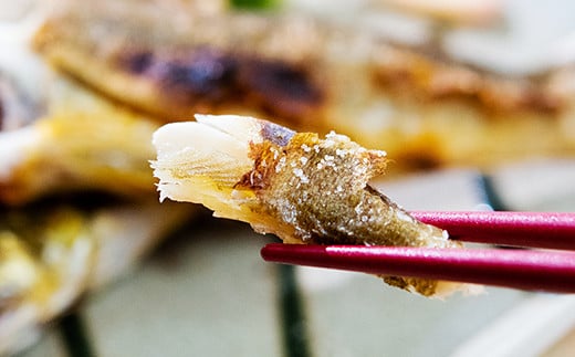 鮎の塩焼きギフト 5~7尾入り ＜1.1-35＞川魚 鮎 あゆ