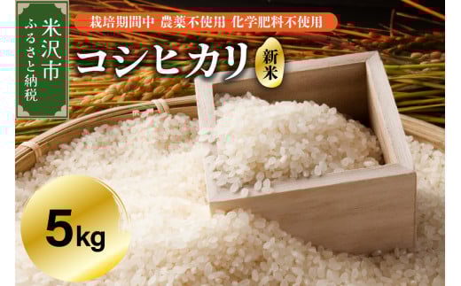 【 令和7年産 】 コシヒカリ 5kg 【栽培期間中農薬不使用・化学肥料不使用】 産地直送 2025年産
